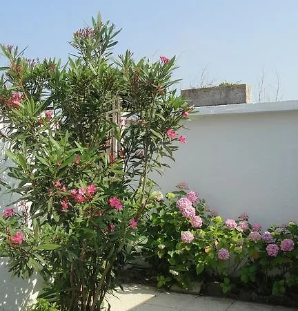 Le Pavillon Paul בית נופש ביאריץ